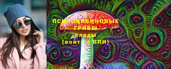 индика Алексеевка