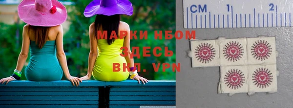 сатива Аркадак