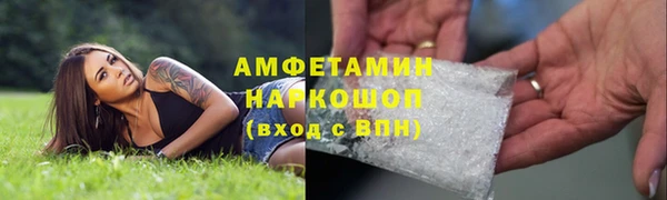 сатива Аркадак