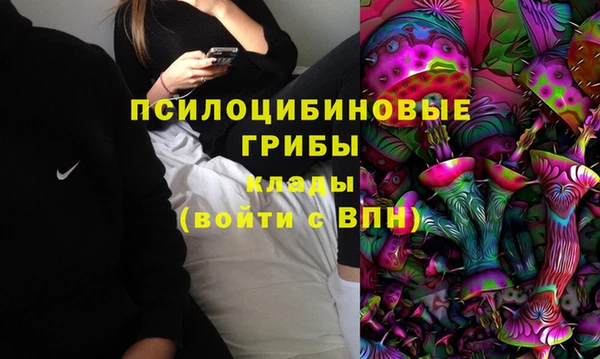 сатива Аркадак