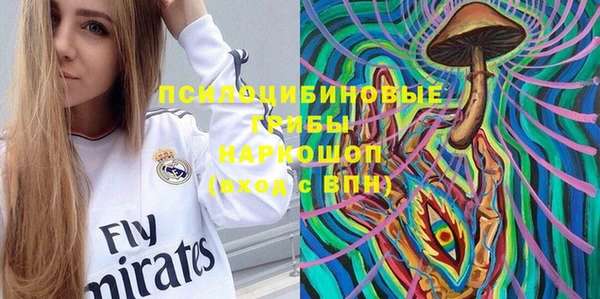 индика Алексеевка