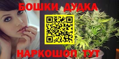 jwh Кудрово