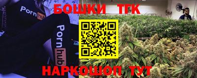 прущие грибы Мариинск