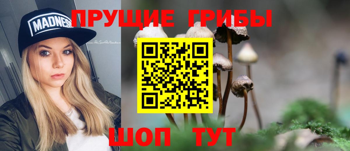 Галлюциногенные грибы Cubensis Сибай
